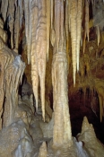 jenolan-caves-picture;jenolan-caves;cave;blue-mountains-national-park;blue-mountains;steven-david-mi